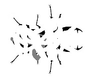 dignified extinction